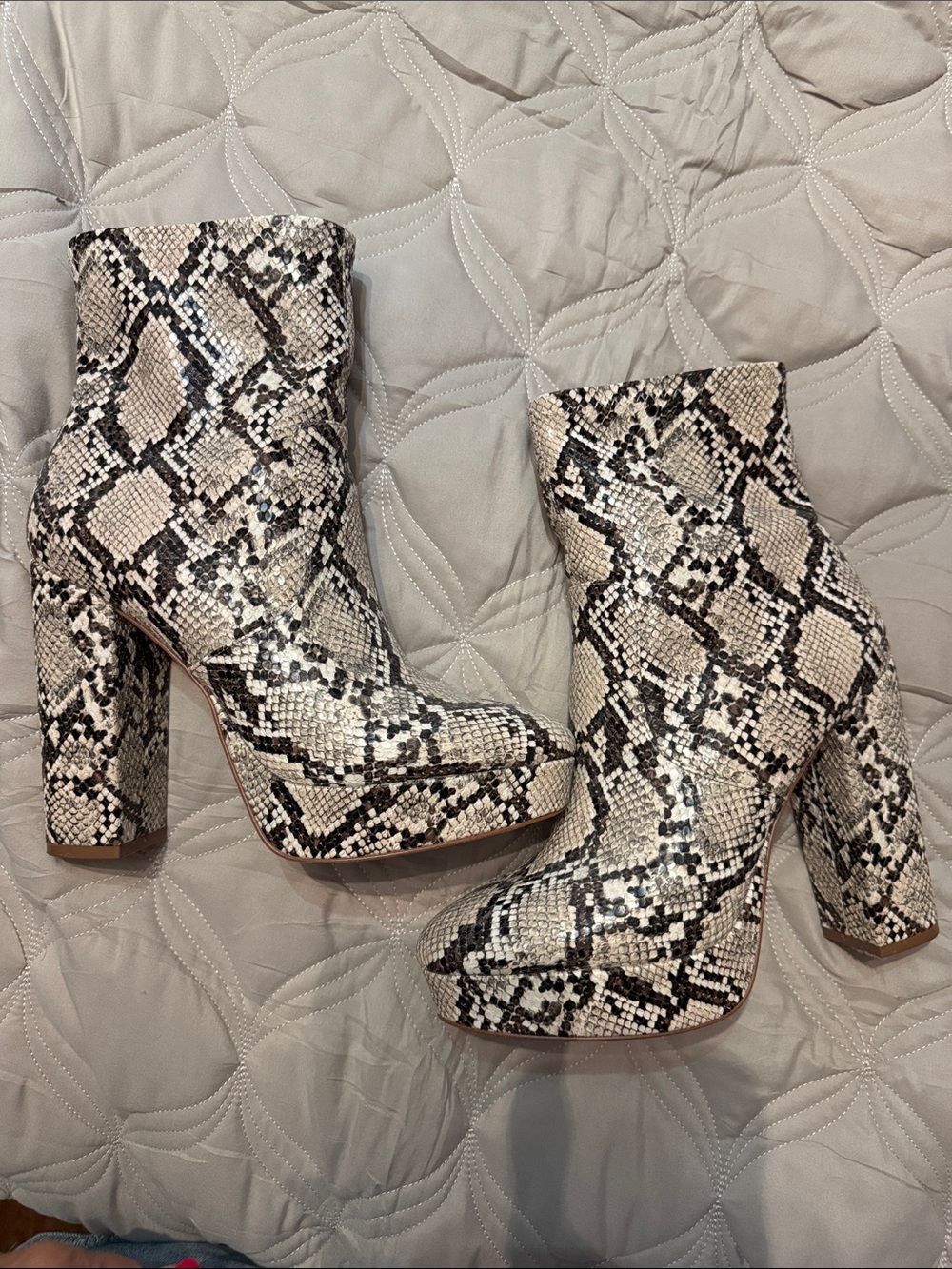 Aldo Snake-Print Platform Ankle Boots in Black & Cream